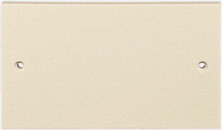 Electrical installation, RS range, blanking plate, white, 2 gang