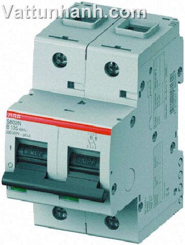 MCB,36kA,Type B characteristic,double pole,63A,35mm capacity,S800