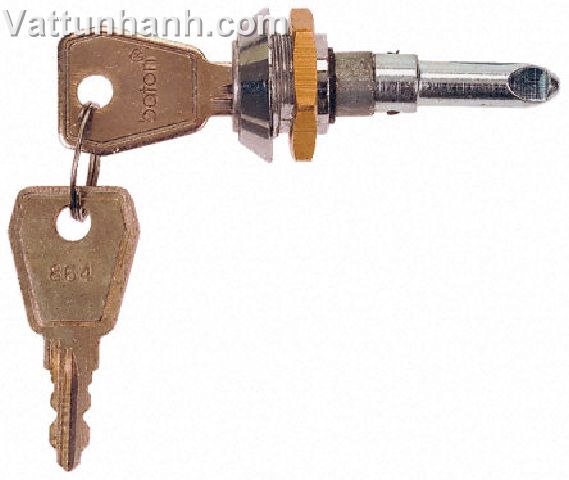 Lock,door,TPN,distribution board
